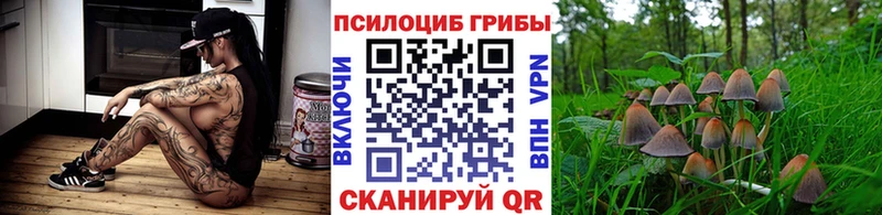 Галлюциногенные грибы мицелий нарко площадка состав Дербент
