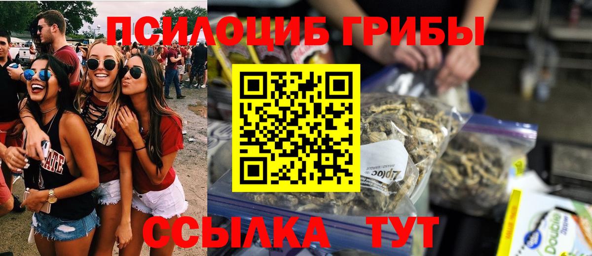 Галлюциногенные грибы Psilocybine cubensis  Галлюциногенные грибы Psilocybe  Вход с VPN  Дербент 